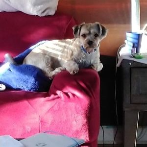 Meet your Posher, Bobbie-jo